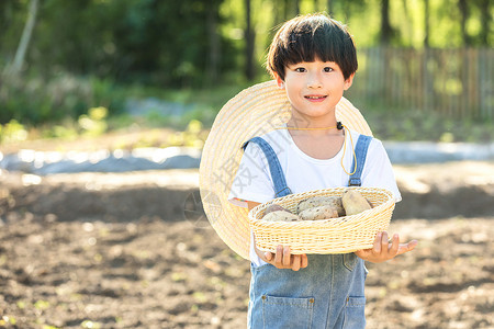 小男孩手捧土豆图片