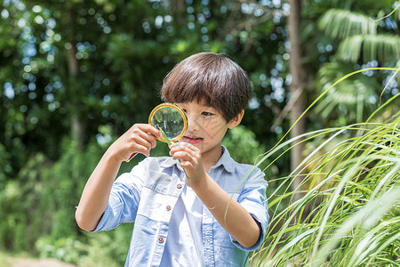 小男孩放大镜观察植物背景图片