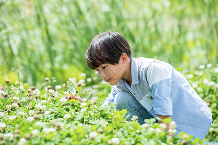 小朋友放大镜小男孩放大镜观察植物背景