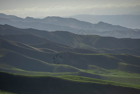 新疆天山草原牲畜素材背景图片