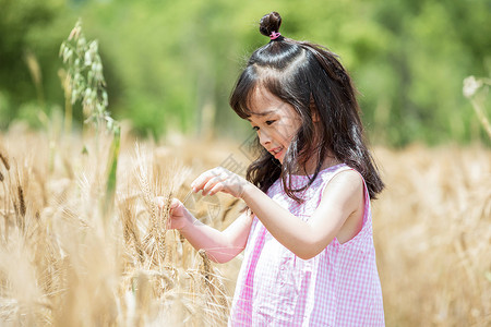 儿童开心小女孩稻田玩耍背景