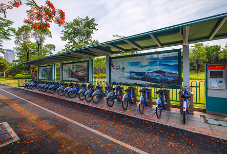 自助停车城市共享单车背景