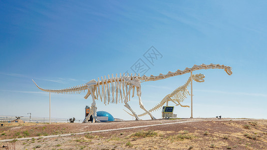 二连浩特白垩纪恐龙地质公园背景