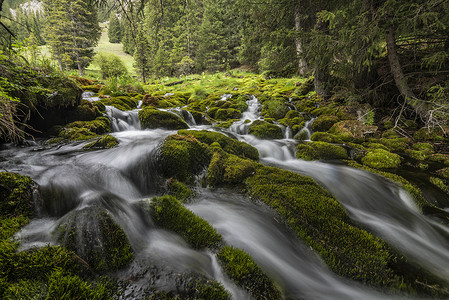 森林秘境新疆天山溪流瀑布风光背景