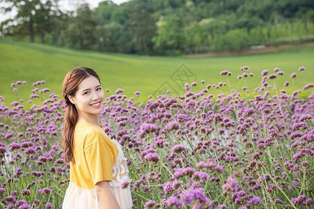 马鞍花海美女背景