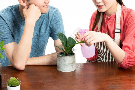 情侣种植盆栽背景图片