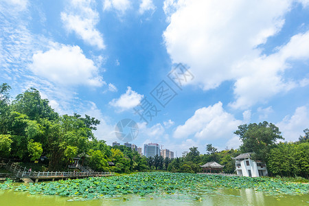 南宁风景南宁狮山公园背景