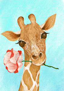 长颈鹿 花 动物 可爱背景图片