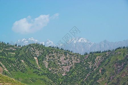 五阿哥新疆阿克苏托木尔峰背景