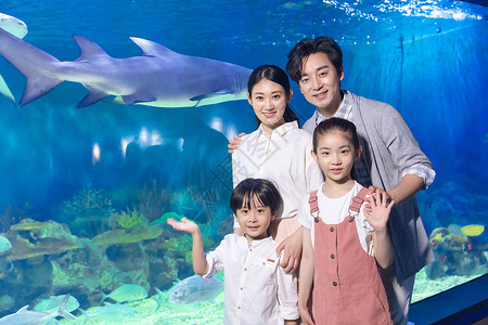 海洋馆鲨鱼年轻家庭参观海洋馆背景