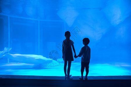 小孩和鲸鱼年轻家庭参观海洋馆背影背景