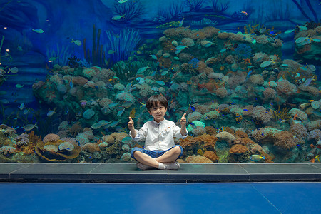 小男孩参观海洋馆背景图片