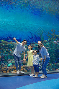 海洋馆儿童年轻家庭参观海洋馆背景