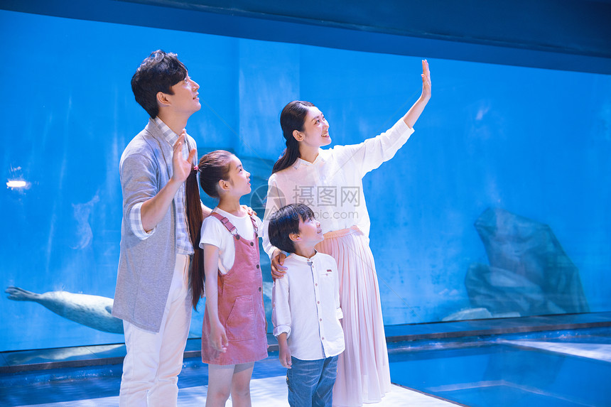 年轻家庭参观海洋馆图片