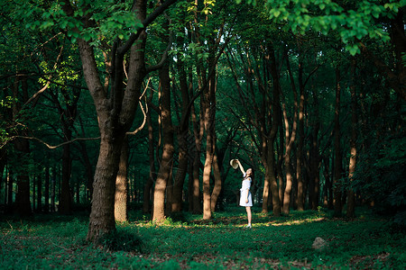 森林女孩背景图片