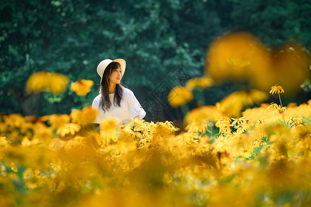 夏季花海图片