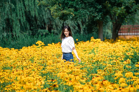 花海女孩写真图片