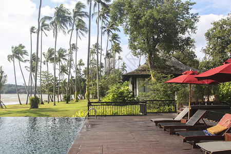 泰国度假酒店的泳池和躺椅背景图片