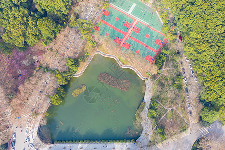 小区运动场城市楼盘小区的人工湖和运动场背景