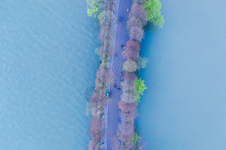 休闲绿道江西九江庐山西海步行绿道背景