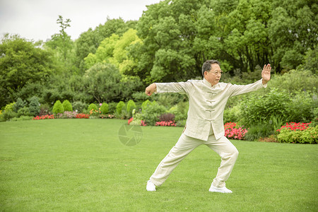 草坪太极老年人太极锻炼背景