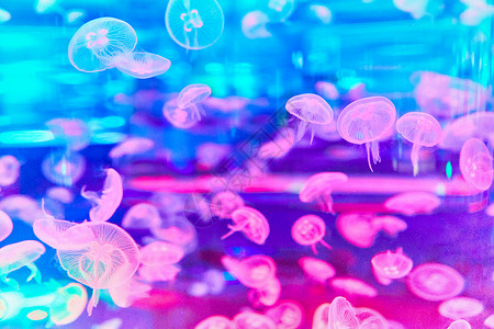气泡梦幻素材水母背景