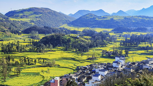 九龙小镇新农村背景