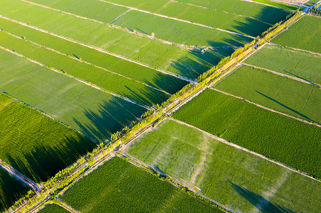 微创种植新疆农业大规模种植航拍背景