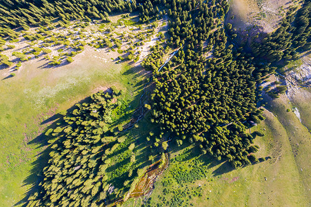 航拍新疆天山原始森林草原牧场高清图片