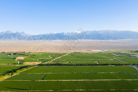 航拍新疆大规模种植农业农田背景