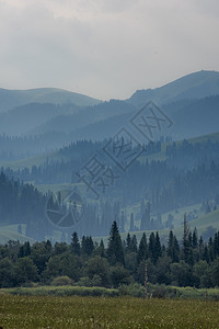 山野云雾仙境背景图片