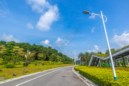 阴凉小道钦州园小道背景