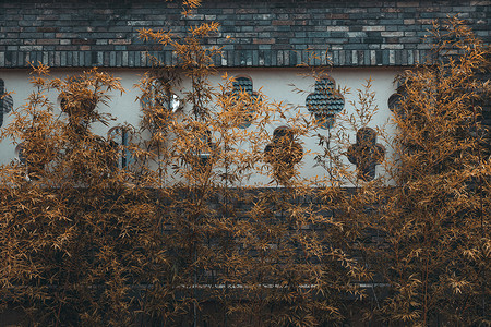 围墙文化秋季院墙背景