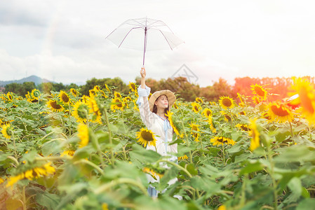 打雨伞女孩向日葵少女背景