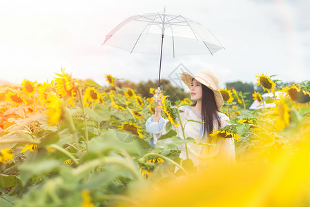 打伞买花的少女向日葵少女手拿雨伞背景