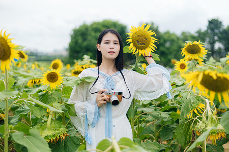 向日葵少女图片