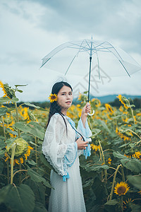 向日葵少女拿着雨伞背景图片