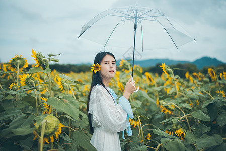 游玩女子逛街向日葵少女拿着雨伞背景