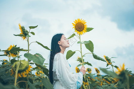 向日葵旁少女向日葵女孩背景