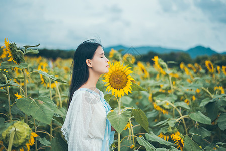 向日葵旁少女向日葵女孩背景