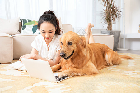 人和狗美女和宠物狗看笔记本电脑背景