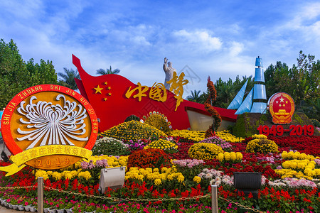 水花寒露登高重阳节菊花花坛背景