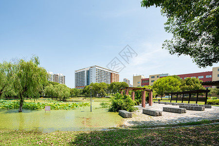 苏州大学校园建筑景观背景图片