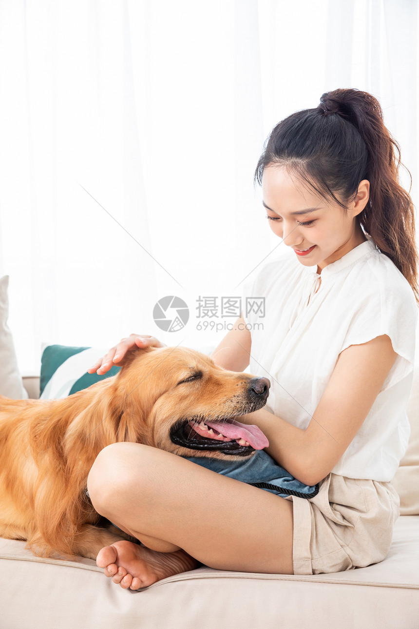 美女与宠物金毛犬相伴图片