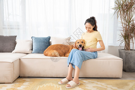 孕妇宠物孕妇和宠物金毛犬相伴背景