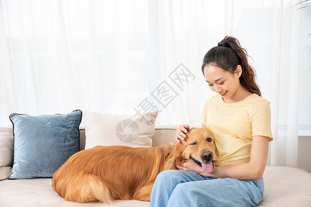 怀孕狗怀孕的美女和宠物金毛犬背景