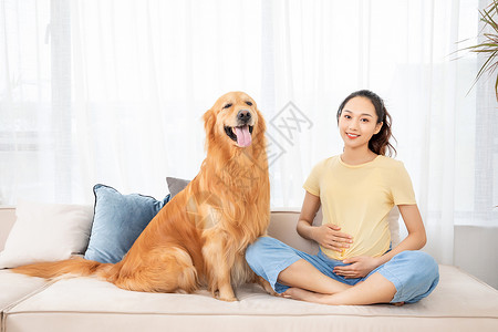 怀孕的美女和宠物金毛犬高清图片