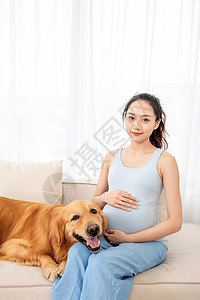 怀孕狗怀孕的美女和宠物金毛犬背景