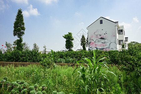 伊尔库茨克涂鸦房上海奉贤吴房村背景