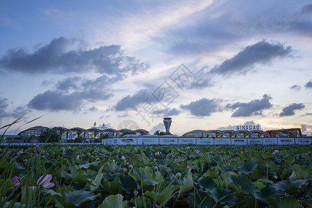 青岛机场青岛胶东机场高清图片
